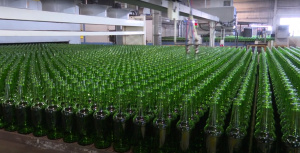 «Сибстекло» приступило к выпуску зеленой бутылки